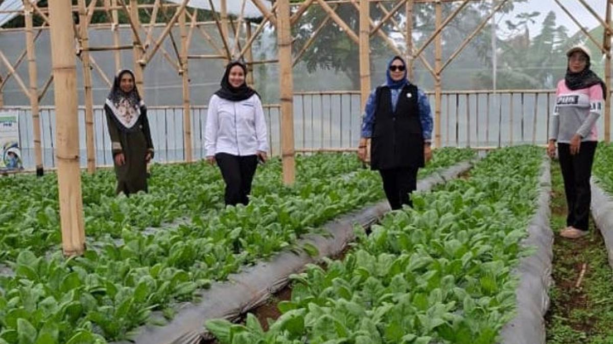 Kisah Nasabah PNM Mekaar Bandung Barat, Ubah Limbah Jadi Sumber Penghidupan Berkat Sinergi Ultra Mikro BRI