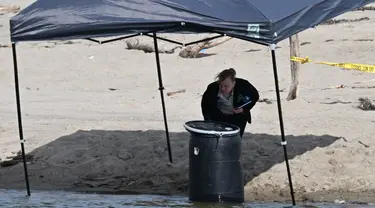 Seorang pejabat berdiri di samping tong tempat mayat ditemukan di Malibu Lagoon State Beach, California pada 31 Juli 2023.(AFP/Robyn Beck)