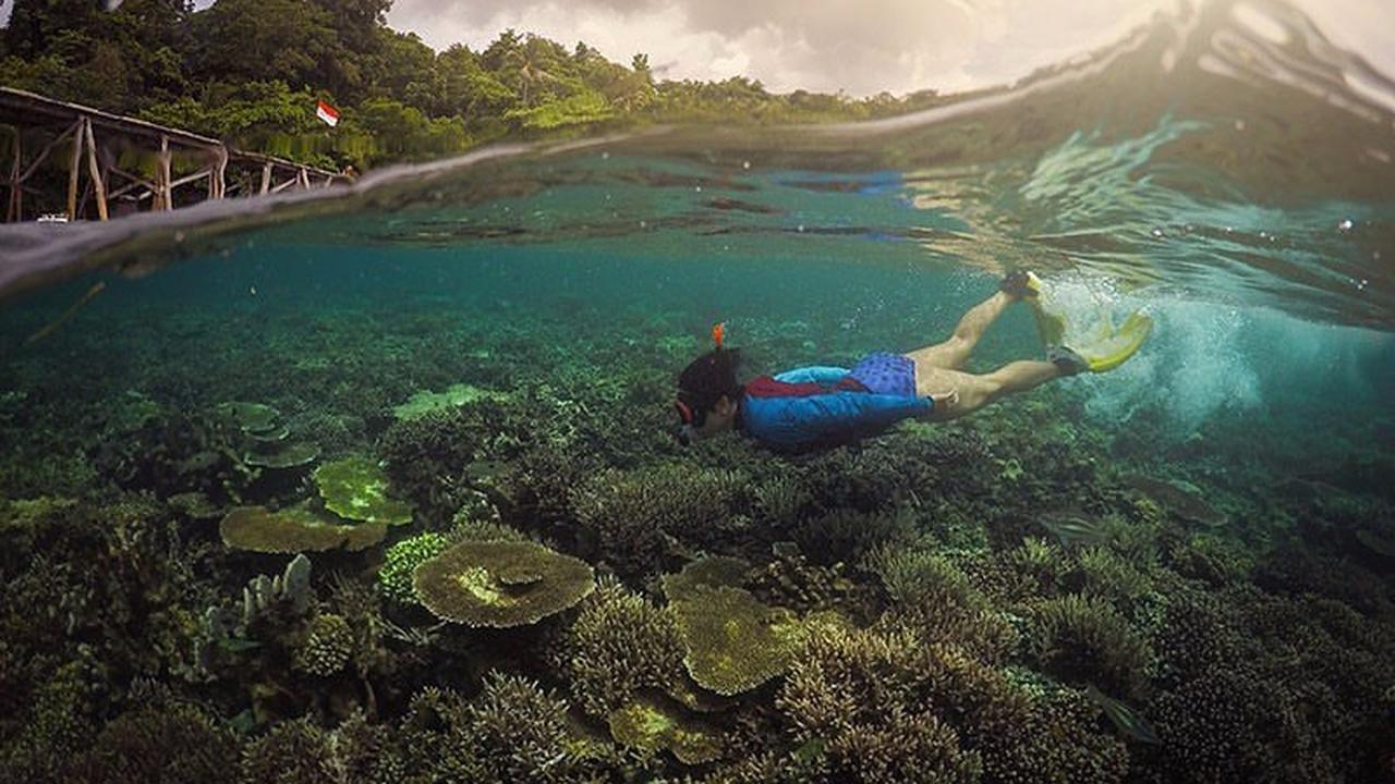 Raja Ampat keindahan bawah laut