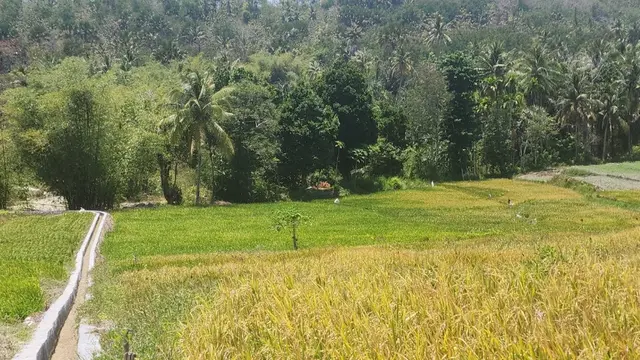 Kementan