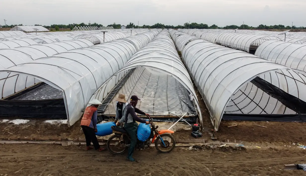 Saat ini, produksi garam dengan sistem tunel tengah dikembangkan oleh Koperasi Produsen Kristal Laut Nusantara di atas lahan tambak seluas 12 hektar. (Aditya Irawan/AFP)