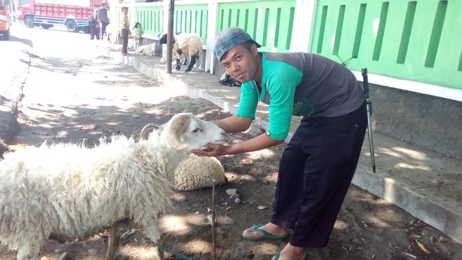 Efan, membantu  Bripka  Saripin menjual domba 9Liputan6.com/Jayadi Supriadin)