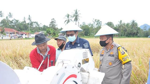 Panen di Sungayang, Gubernur Sumbar: Pertanian Jadi Prioritas Pembangunan