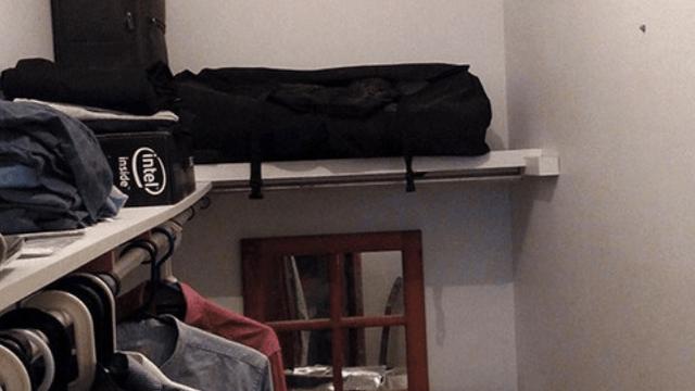 Temukan kucing yang tengah bersembunyi dalam foto ini.