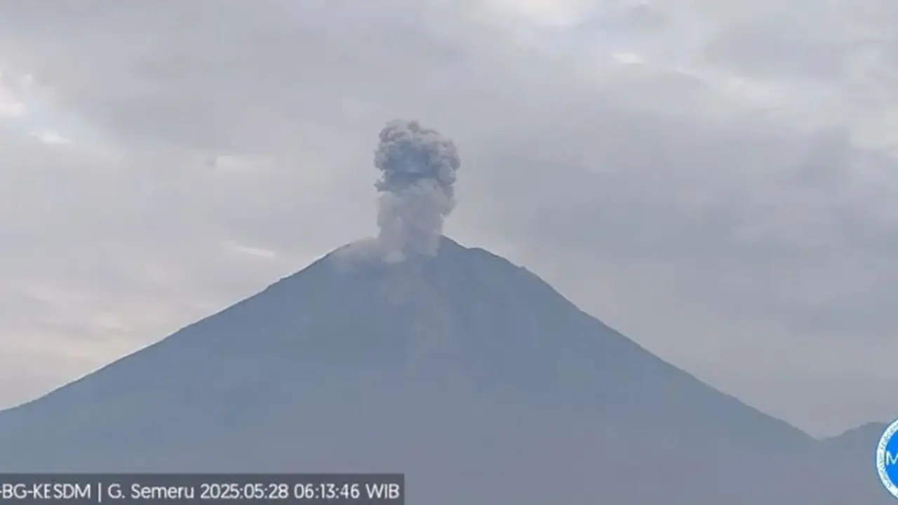 Gunung Semeru erupsi, tinggi letusan capai 1.200 meter (Istimewa)