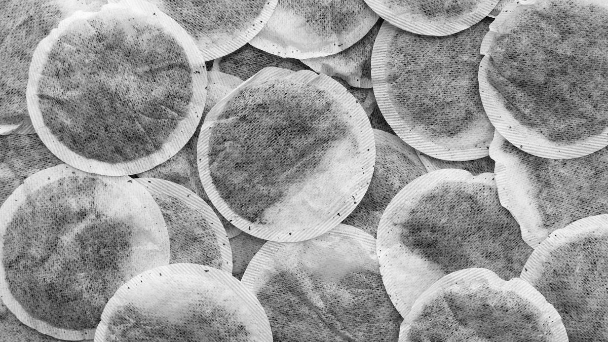 7 Cara Mengolah Bekas Ampas Teh jadi Pupuk Tanaman Rumahan