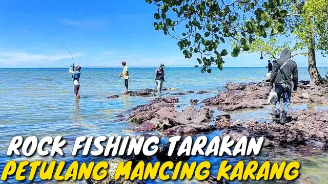 Rock Fishing Tarakan Petulang Mancing Karang