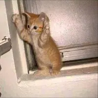 Binatang-binatang yang terkenal lucu ini ternyata bisa bertindak brutal! Hiiii.