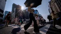 Indonesia Bisa Contoh Jepang Hadapi Krisis Iklim