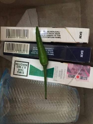 Sulit Diprediksi, Isi 6 Kotak Snack Ini Sungguh Tak Terduga
