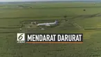 Sebuah pesawat penumpang Rusia jenis airbus  terpaksa mendarat darurat di ladang jagung setelah bertabrakan dengan kawanan burung. Beruntung tidak ada korban jiwa dalam kecelakaan ini.