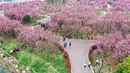 Jalan-jalan menikmati keindahan bunga sakura atau bersantai di taman menjadi pilihan warga untuk melepas penat. (STR/AFP)