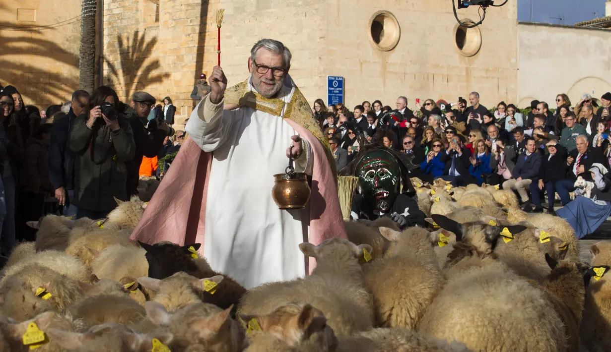 Seorang pendeta memberkati kawanan domba selama upacara tradisional 'Beneides' untuk memberkati hewan yang menandai hari Santo Antonius, santo pelindung hewan, di Muro, di pulau Balearic Spanyol, Selasa (17/1/2023). Pemilik hewan peliharaan berbaris di sekitar Gereja menunggu giliran pastur memercikkan air suci pada hewan mereka. (JAIME REINA / AFP)