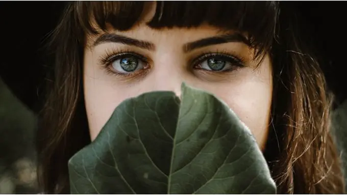 Mata Panda/Copyright Shutterstock