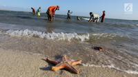 Warga mencari kerang laut di pesisir pantai Pulau Pasir, Lombok Timur, Sabtu (3/8/2019). Mereka mulai menangkap kerang ketika Pulau Pasir yang membentang laut akan tampak ketika air laut surut. (Liputan6.com/Fery Pradolo)