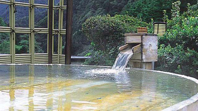 Nishiyama Onsen Keiunkan (2)