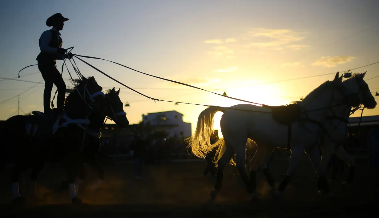 Pria Palestina mengenakan topi Stetson Cowboy melakukan atraksi dengan kudanya selama Arabian Horse Show di Kota Gaza, Palestina (3/3). (AFP Photo / Mohammed Abed)