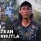 Orang Utan Menyelamatkan Diri dari Karhutla