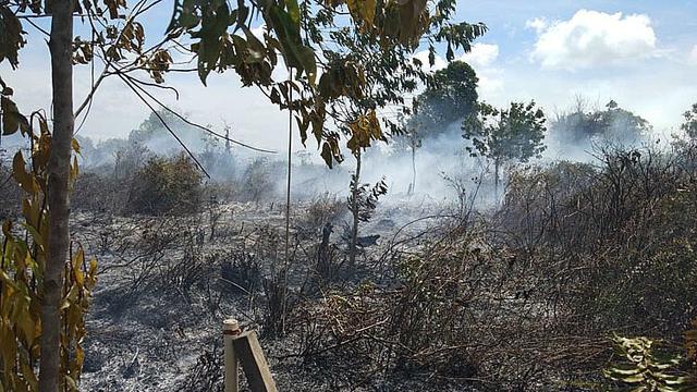 Luas kebakaran hutan dan lahan (karhutla) di Aceh per Januari-Agustus mencapai 379 hektare dengan jumlah 110 kali kejadian (Liputan6.com/Aceh)