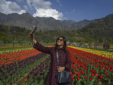 Seorang turis berswafoto menggunakan ponsel di Tulip Garden yang diklaim terbesar di Asia, di Srinagar, India pada Rabu (5/4/2023). (Photo by TAUSEEF MUSTAFA / AFP)