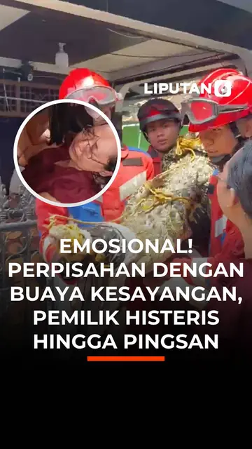 Emosional! Perpisahan Dengan Buaya Kesayangan, Pemilik Histeris hingga Pingsan