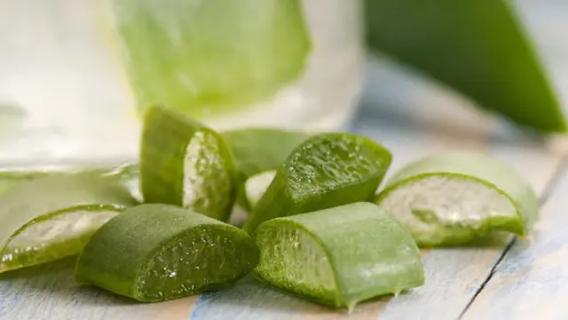 Foto: copyright thinkstockphotos.com