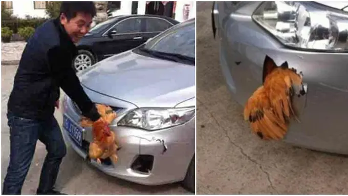 Photo copyright Dailymail.co.uk