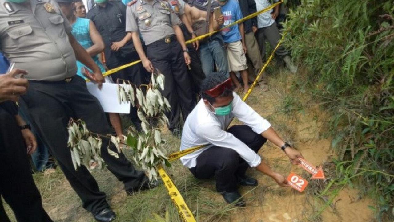2 Jasad Misterius Temuan Petani Saat Blusukan di Kebun Sawit