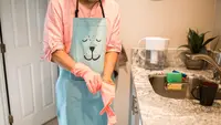 9 Cara Singkirkan Bau yang Mengundang Kecoa dari Dapur, Rumah Bebas dari Hama