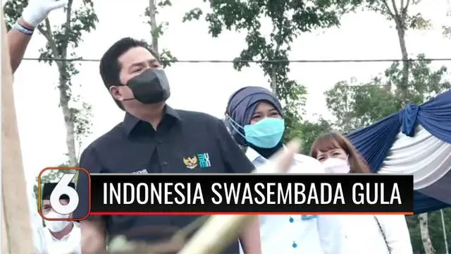 Menteri BUMN Erick Thohir meninjau kegiatan vaksinasi di pondok pesantren di Banyuwangi, Jawa Timur. Selain vaksinasi Covid-19, Menteri BUMN juga menargetkan swasembada gula akan tercapai dalam beberapa tahun ke depan.