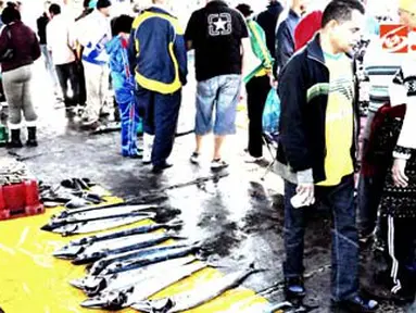 Ikan hasil tangkapan nelayan Kalk Bay, Cape Town, Afsel.