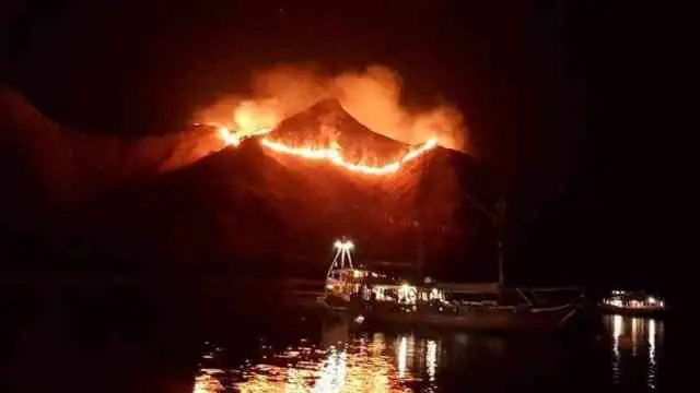 Taman Nasional Komodo Gili Lawa Kebakaran, Pelaku Diduga Wisatawan