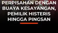 Emosional! Perpisahan Dengan Buaya Kesayangan, Pemilik Histeris hingga Pingsan