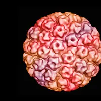 Virus HPV terdapat dalam beberapa tipe, kini baru ada ada vaksin yang mampu cegah 4 tipe HPV. (Foto: philstockworld.com)