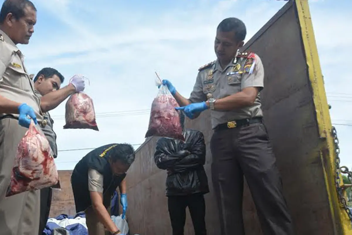 Digagalkan, 15 Ton Daging Babi Hutan yang akan Masuk Jakarta 
