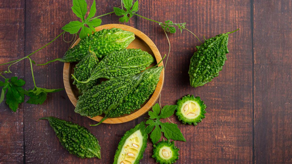 Cara Budidaya Pare yang Minim Risiko dan Bisa Panen Berkelanjutan