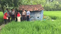 Semangat hidup nenek sebatang kara hidup di gubuk reyot di tengah sawah. Foto: (Fajar Eko Nugroho/Liputan6.com)