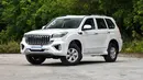 Haval H9 sekilas terlihat seperti Toyota Land Cruiser Prado. Mobil ini mengisi line up SUV ladder frame di tengah-tengah SUV monocock keluaran Haval. Ia mengadopsi mesin 2.000cc 4-silinder turbo yang dipadukan dengan transmisi 8-speed dari ZF. Di Australia mobil ini dijual mulai dari Rp400 jutaan sampai Rp440 jutaan. (Source: китайские-автомобили.рф)