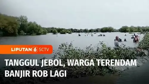 VIDEO: Tanggul Jebol, Banjir Rob kembali Rendam Pesisir Pantura Subang