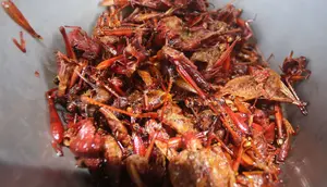 10 Makanan Ekstrem Thailand, Ada yang Tanpa Sadar Sering Dikonsumsi Orang Indonesia