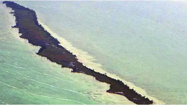 Courtesy Hollyscoop.com