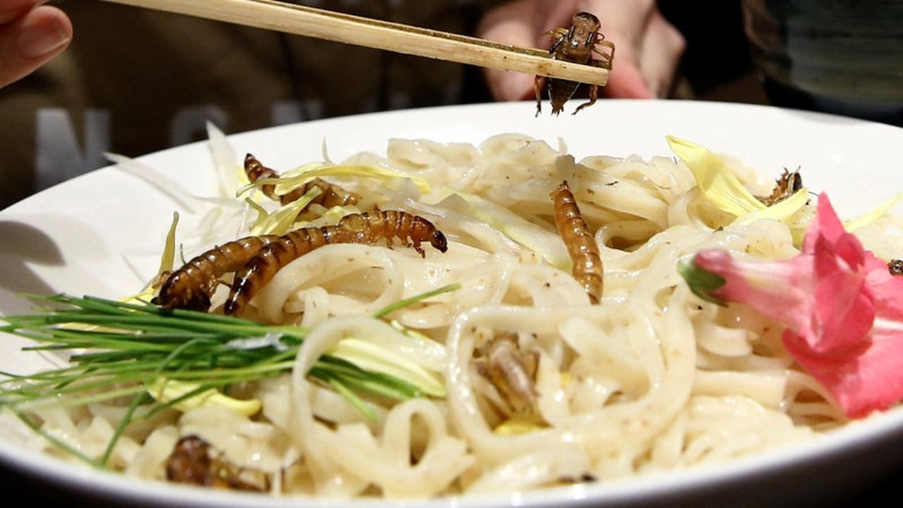 Ramen Campur Jangkrik dan Ulat Tengah Digilai Warga Jepang