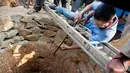 Dokter hewan, Bijoy Gogol berusaha menenangkan seekor macan tutul yang terperosok ke dalam sumur kering di kawasan permukiman Guwahati, India, Rabu (13/12). Penyelamatan dilakukan petugas kehutan dengan menggunakan tangga dan tali. (AP Photo/Anupam Nath)