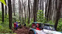 salah satu rute kawasan hutan pinus Gunung Cikuray Garut  (Liputan6.com/Jayadi Supriadin)