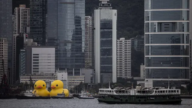Bebek Raksasa di Hong Kong