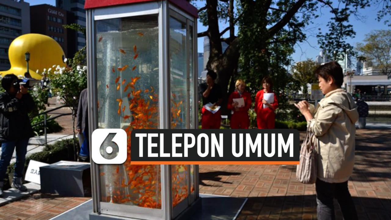 VIDEO: Telepon Umum Bekas Diubah Jadi Aquarium di Osaka