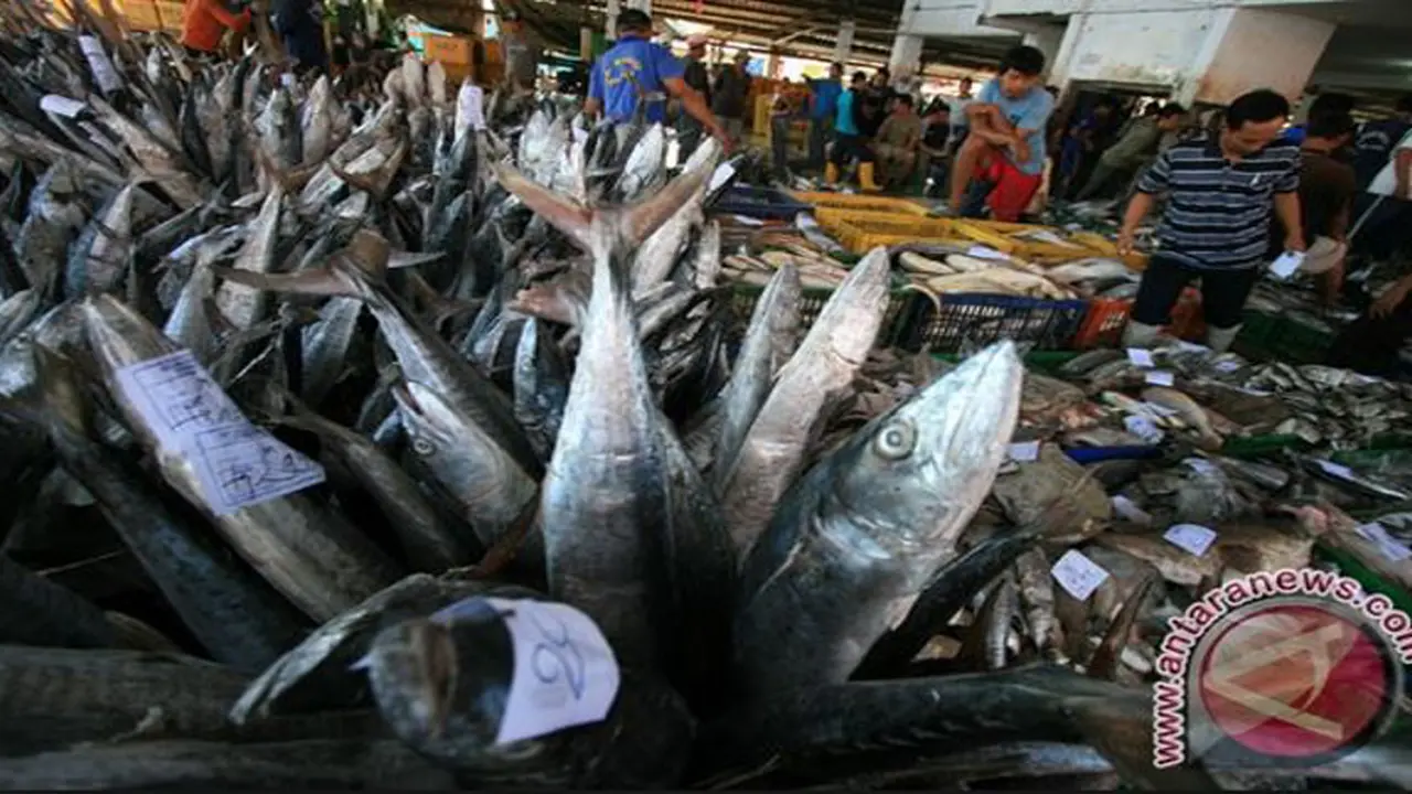 Faktor Cuaca Bikin Harga Ikan Melonjak
