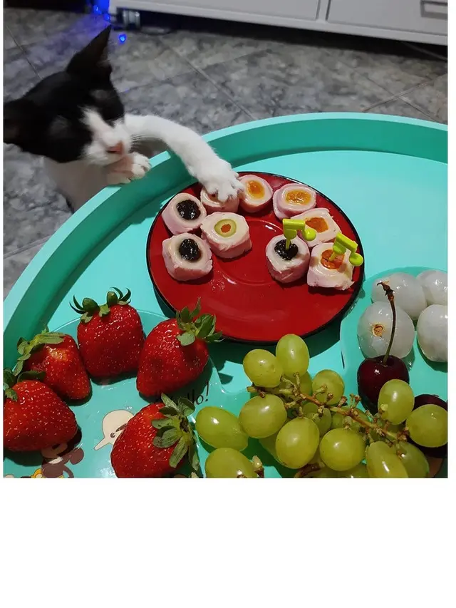 7 Potret Aksi Kucing saat Ketahuan Curi Makan Ini Bikin Geleng Kepala