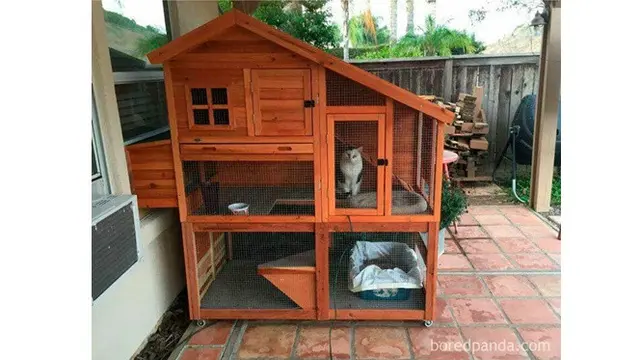6 Potret Kandang Hewan Peliharaan dari Barang Bekas, Hasilnya Tak Kalah Bagus