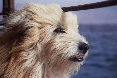 Foto : copyright oddstuffmagazine.com